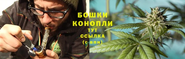 гашик Липки