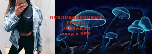 гашик Арсеньев